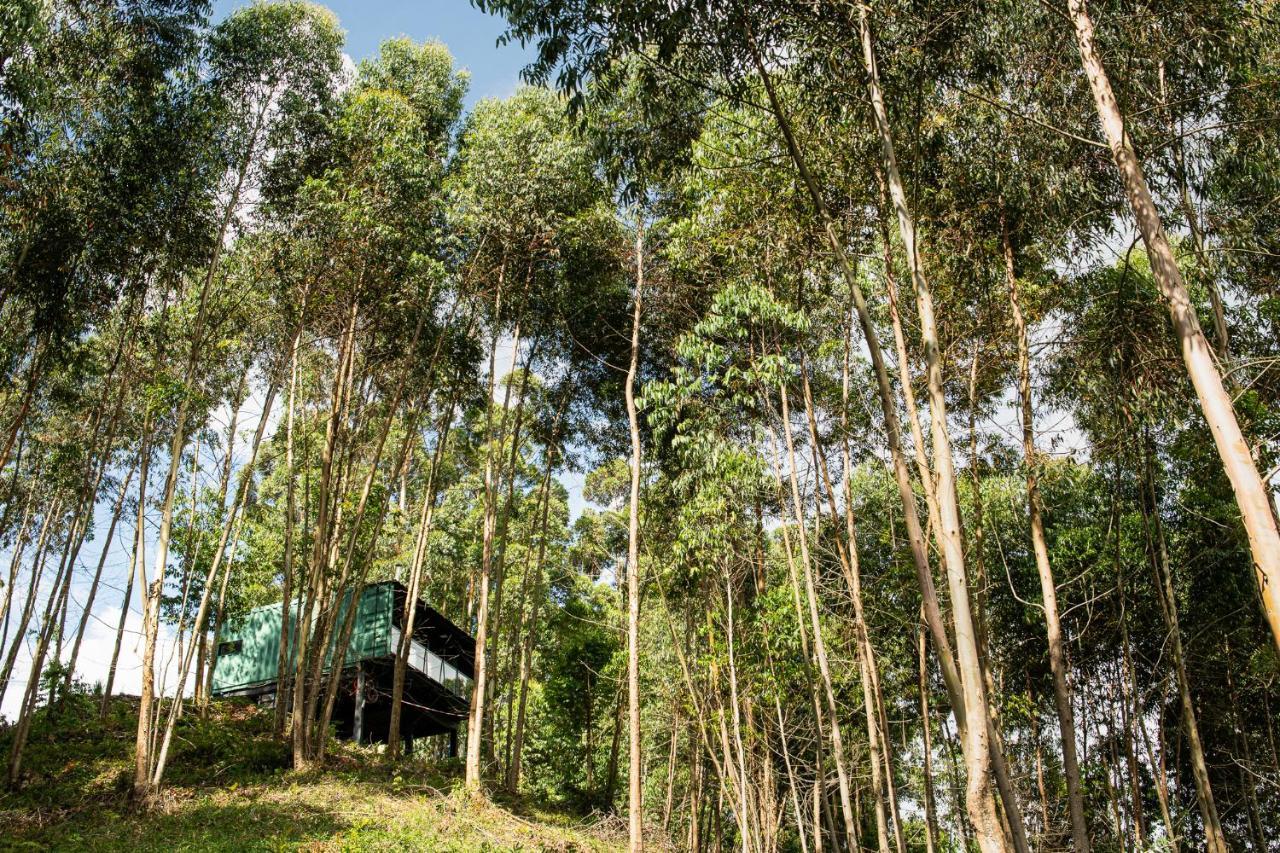 Casa Container Figo Em Meio A Natureza Na Serra Gaucha Flores da Cunha Buitenkant foto